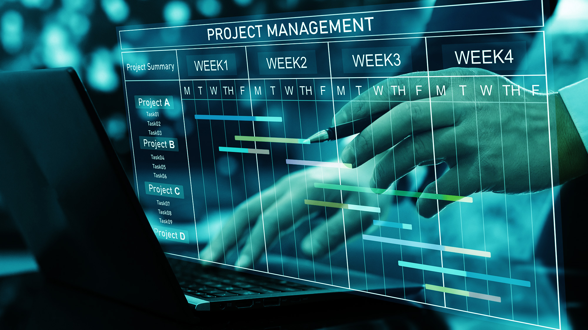 P3M Project Management
